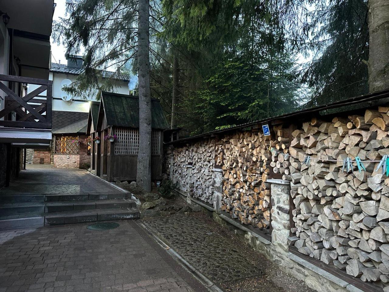 Alpiyskiy Yablunytsya Bagian luar foto
